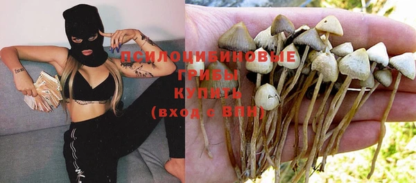 тгк Лихославль