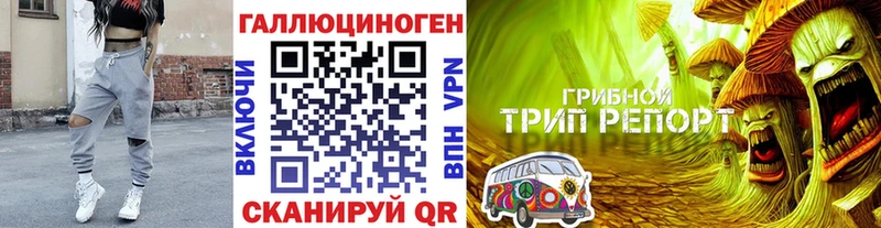 Псилоцибиновые грибы Psilocybine cubensis  Купить закладки  Верхний Тагил 